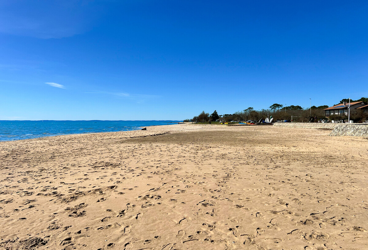 coq_hardi_plage_2025_fr-87648466_0.jpg