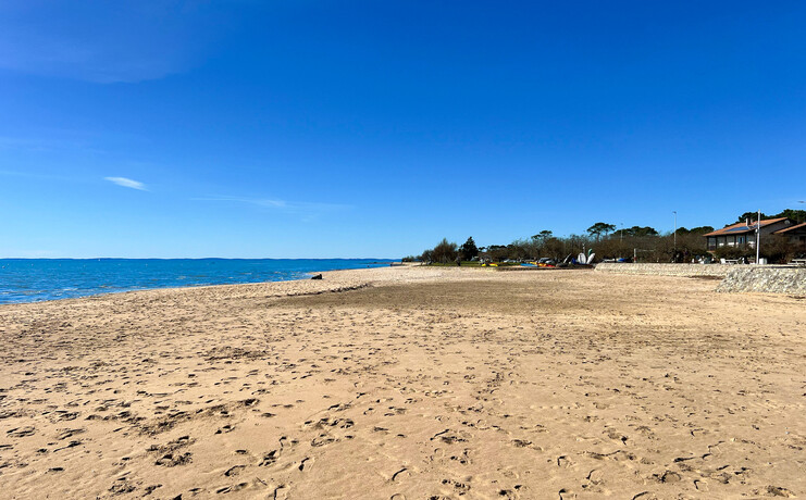 coq_hardi_plage_2025_fr-87648466_0.jpg